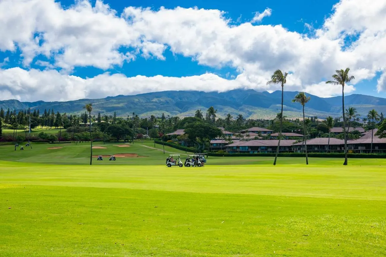 Lahaina Condo Near Kaanapali Beach And Black Rock 0*,  United States